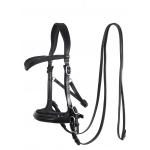 Runa Combi Sidepull Or Bitted Bridle & Reins
